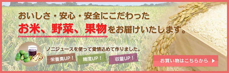 おいしさ・安心・安全にこだわったお米、野菜、果物をお届けいたします。